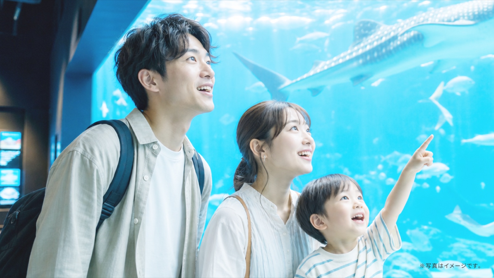 【2026年版】入園無料は何歳まで？0〜4歳の子連れが無料で入れる東京の遊び場まとめ｜遊園地・水族館・博物館