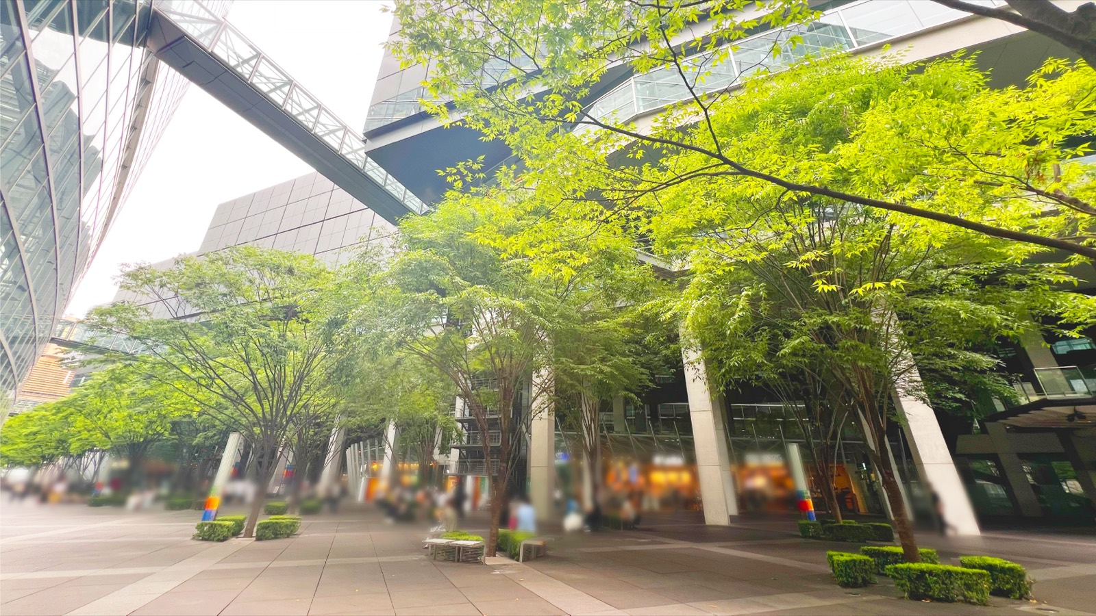トラットリア パパミラノ 東京国際フォーラム店